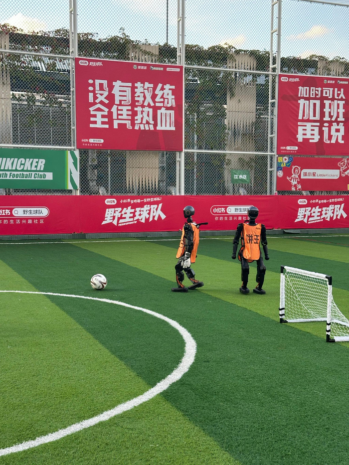 BTi体育-欢欣鼓舞哪个是错别字